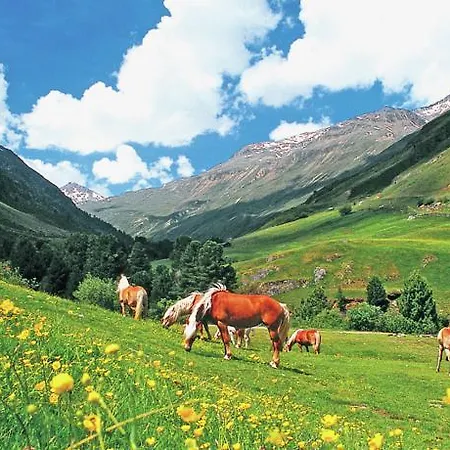 Dom wakacyjny Garni Flori