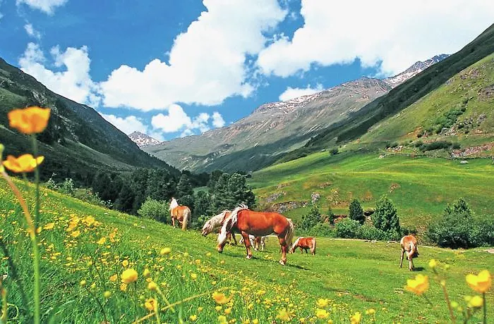 Σπίτι διακοπών Garni Flori